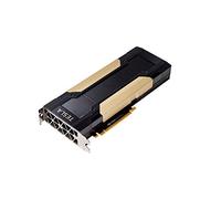 PNY TCSV100MPCIE-PB Tarjeta gráfica NVIDIA Tesla V100 16 GB Memoria de Alto Ancho de Banda de Segunda generación (HBM2)