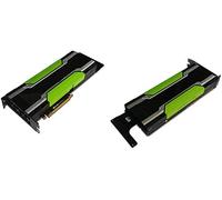 PNY Tesla P100 16 GB High Bandwidth Memory (HBM) - Tarjeta gráfica (Tesla P100, 16 GB, High Bandwidth Memory (HBM), 4096 bit, PCI Express x16 3.0)