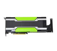 PNY VGA Tesla M60 Card (Short)