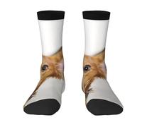 Poadnly Cachorro de terrier de juguete ruso sobre fondo blanco,Calcetines de compresión deportivos unisex Medias para adultos.