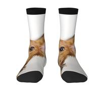 Poadnly Cachorro de terrier de juguete ruso sobre fondo blanco,Calcetines de compresión deportivos unisex Medias para adultos.