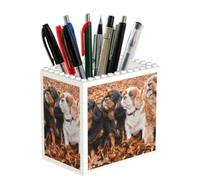 Poadnly Cachorros de Cavalier King Charles Spaniel en otoño, Portalápices para oficina, hogar y escuela, organizador de escritorio compacto para material de oficina.