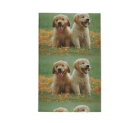 Poadnly Cachorros de Labrador Retriever Amarillo,Paños de Cocina absorbentes con diseño de gofre Toalla de Cocina, 41 x 66 cm