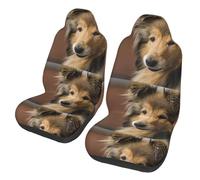 Poadnly Collie de Pelo Largo Lassie Perros Perros Grandes y esponjosos Mascotas,Funda para Asiento de Coche Protectores para Asientos Delanteros de Coche, 2 Unidades