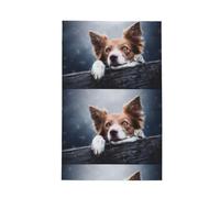 Poadnly Dios Bokeh de Border Collie Marrón con Ojos Amarillos,Paños de Cocina absorbentes con diseño de gofre Toalla de Cocina, 41 x 66 cm