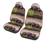 Poadnly Familia de Cachorros de Labrador, Cachorros pequeños Marrones,Funda para Asiento de Coche Protectores para Asientos Delanteros de Coche, 2 Unidades