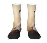 Poadnly Impresión del American Staffordshire Terrier,Calcetines de compresión deportivos unisex Medias para adultos.