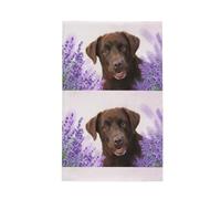Poadnly Labrador marrón, Perro cobrador de Lavanda,Paños de Cocina absorbentes con diseño de gofre Toalla de Cocina, 41 x 66 cm