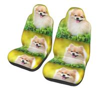 Poadnly Lindo Cachorro en el Parque de Primavera,Funda para Asiento de Coche Protectores para Asientos Delanteros de Coche, 2 Unidades