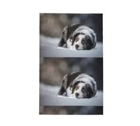 Poadnly Pastor Australiano de Invierno Blanco como la Nieve, Perros Grises,Paños de Cocina absorbentes con diseño de gofre Toalla de Cocina, 41 x 66 cm