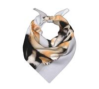 Poadnly Patrón de perro Shiba Inu Shibaken Perro lindo,Bufanda tipo bandana para hombre y mujer: pañuelos elegantes y versátiles para el cuello y la cabeza.