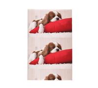 Poadnly Patrón del Cavalier King Charles Spaniel,Paños de Cocina absorbentes con diseño de gofre Toalla de Cocina, 41 x 66 cm