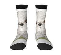 Poadnly Perro Moe Shih Tzu lindo,Calcetines de compresión deportivos unisex Medias para adultos.