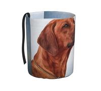 Poadnly Perro Rhodesian Ridgeback,Cubo de basura colgante para coche, resistente al agua, ideal para acampar y viajar.
