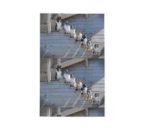 Poadnly Perros Border Collie Shetland Sheepdogs Alaskan,Paños de Cocina absorbentes con diseño de gofre Toalla de Cocina, 41 x 66 cm