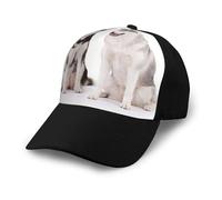 Poadnly Perros Husky Impresos,Gorra de béisbol clásica Ajustable, Gorra de papá, Gorra de Camionero Unisex.
