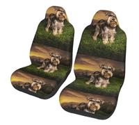 Poadnly Schnauzer Atardecer Perros Mascotas Montañas Schnauzer,Funda para Asiento de Coche Protectores para Asientos Delanteros de Coche, 2 Unidades