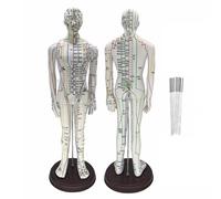 POCDOKYZ Modelo De Puntos De Acupuntura De 52 Cm/20,5 Pulgadas, Escala 1/3, Muñeco De Acupuntura De PVC con Más De 360 Puntos Meridianos, Guía En Inglés Y Agujas De Práctica.,Men