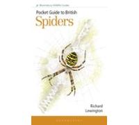 Pocket Guide To British Spiders