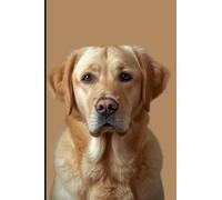 Pocket Notebook: Small 4x6 100 lined sheets personal Golden Labrador Retriever theme purse size notepad for notes, messeges, reminders, shopping lists