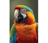 Pocket Notebook: Small 4x6 100 lined sheets personal Parrot theme purse size notepad for notes, messeges, reminders, shopping lists