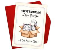 Podagree Tarjeta de cumpleaños divertida de gato con texto en inglés "I Love You Like A Cat Loves a Box" (5.3 x 8 pulgadas) con texto en inglés "I Love You Like A Cat Loves a Box" (13.7 x 20.3 cm)