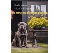 Pode Entrar Mas Não Repare A Bagunça (ebook)