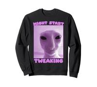 Podría Comenzar a Ajustar a Cat & Funny Meme Cats Sudadera