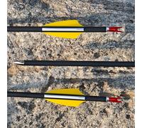 Poearcus Flecha de Tiro con Arco de Carbono Flecha de Tiro de 30-32 Pulgadas Flechas de práctica de Tiro al Blanco de 1000 Spine para Arco Compuesto/Arco Curvo 6/12pcs (Amarillo, 6)