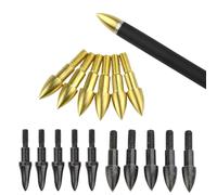 Poearcus Puntas de Tiro con Arco 75/100 Grain Field Points Puntas de Flecha de Tiro con Rosca Arco Recurvo Arco Compuesto Puntas de Flecha de Práctica (Oro, 48pcs 100grain)