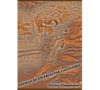 Poemas de un escritor callejero