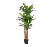 Poenia Arte Floral - Árbol Dracena Artificial 175cm - Ref 631432 - Decoración Realista