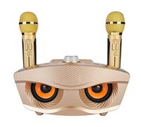 POENVFPO Altavoz de Karaoke, Altavoz Bluetooth con Dos Micrófonos, para Fiesta en Casa KTV (Gold)