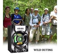 POENVFPO Altavoz Portátil, Plástico, Alcance de 10 M, Altavoz Exterior con Entrada de Micrófono para Viajes y Fiestas (Tono inglés Negro)