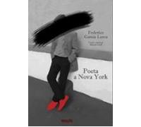 Poeta A Nova York