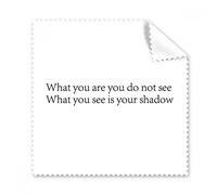 Poetry What You See Is Shadow - Juego de 5 limpiadores de pantalla para gafas, gamuza de limpieza