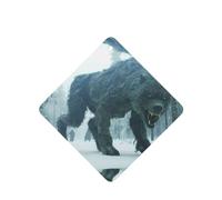 Poezjzw 4 piezas con diseño de bestias de bosque nevado, aroma de lavanda, aroma de coche, fragancia cuadrada para colgar se aplica a zapatos de armario