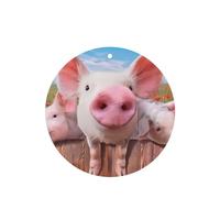 Poezjzw 4 piezas de divertido patrón de cerdo con aroma a lavanda, aroma de coche, forma redonda, para colgar fragancias que se aplican a los zapatos del armario