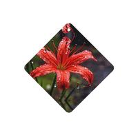 Poezjzw 4 piezas de lirios rojos en floración con aroma a lavanda para coche, fragancia cuadrada para colgar se aplica a zapatos de armario