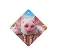 Poezjzw 6 piezas con divertido patrón de cerdo con aroma a lavanda para coche, fragancia cuadrada para colgar se aplica a zapatos de armario