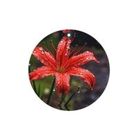 Poezjzw 6 piezas de lirios rojos en flor con aroma a lavanda aroma de coche forma redonda para colgar fragancia se aplica a zapatos de armario