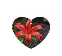 Poezjzw 6 piezas de lirios rojos en floración con aroma a lavanda, aroma de coche, forma de corazón, fragancia para colgar se aplica a zapatos de armario