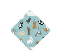 Poezjzw 6 piezas de perros y gatos lloviendo, aroma de lavanda, aroma de coche, fragancia cuadrada para colgar se aplica a zapatos de armario