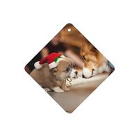 Poezjzw Ambientadores cuadrados con aroma a lavanda para coche, bonito patrón de corgi, 6 unidades, tabletas de aromaterapia para armario de zapatos