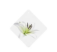 Poezjzw Ambientadores cuadrados con aroma a lavanda para coche, diseño de lirios hermosos, 4 tabletas de aromaterapia para armario de zapatos, eliminar