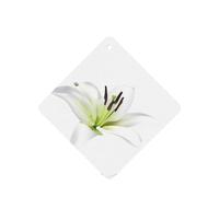 Poezjzw Ambientadores cuadrados con aroma a lavanda para coche, diseño de lirios hermosos, 6 tabletas de aromaterapia para armario, zapatero, eliminar