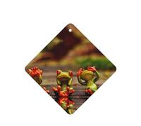 Poezjzw Ambientadores cuadrados con aroma a lavanda para coche, divertido patrón de ranas verdes, 4 tabletas de aromaterapia para armario, zapatero, eliminar