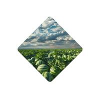 Poezjzw Ambientadores cuadrados con aroma a lavanda para coche, patrón de campo de sandía, 4 tabletas de aromaterapia para armario y zapatos