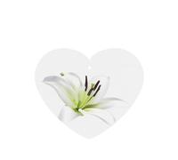 Poezjzw Ambientadores de coche con aroma a lavanda en forma de corazón, patrón de lirios hermosos, 4 tabletas de aromaterapia para armario y zapatero