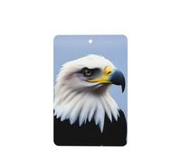 Poezjzw Ambientadores de coche con diseño de águila de mar de cabeza blanca, 6 unidades, rectangulares colgantes, tabletas de aromaterapia, ambientadores perfumados para dormitorio, armario, zapatos